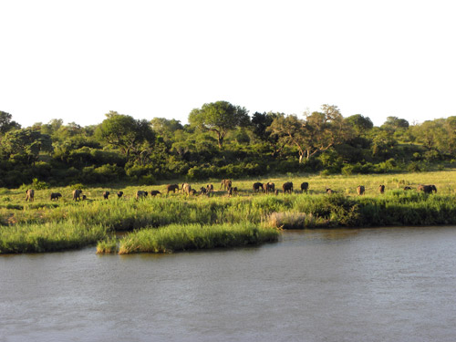 Sun City Accommodation